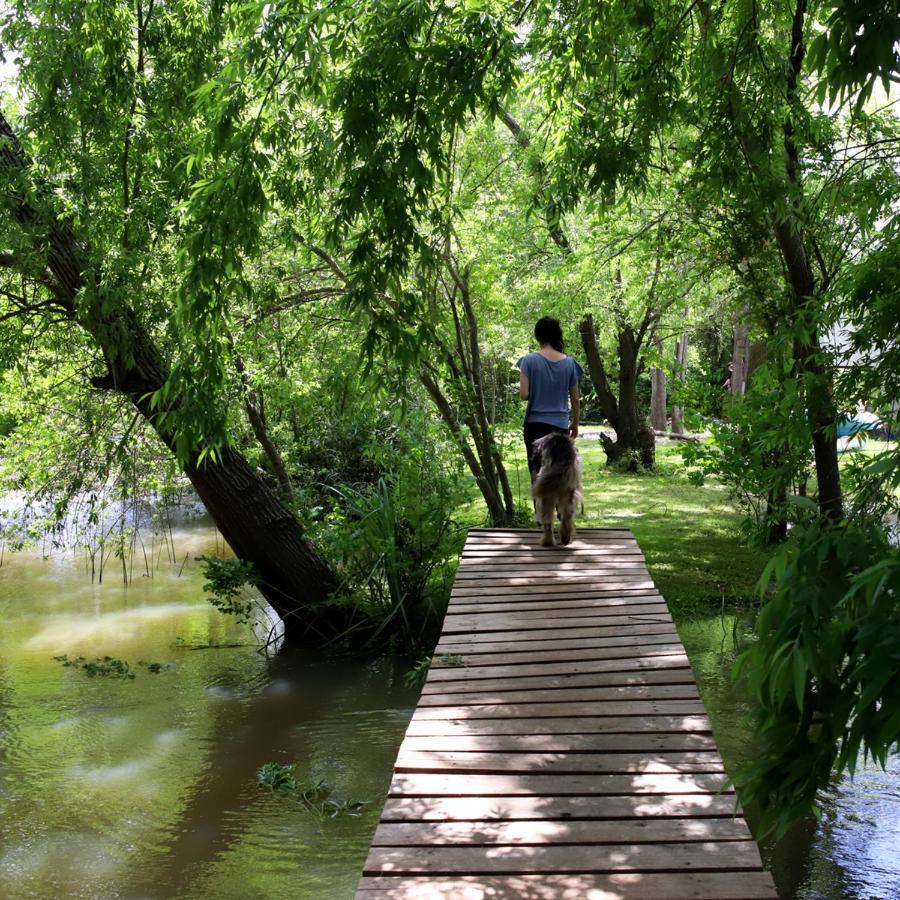Viva La Pepa Cabanas Al Rio. Villa Tigre Esterno foto