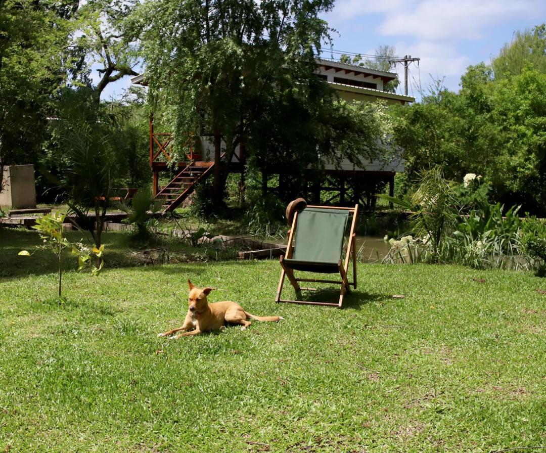 Viva La Pepa Cabanas Al Rio. Villa Tigre Esterno foto